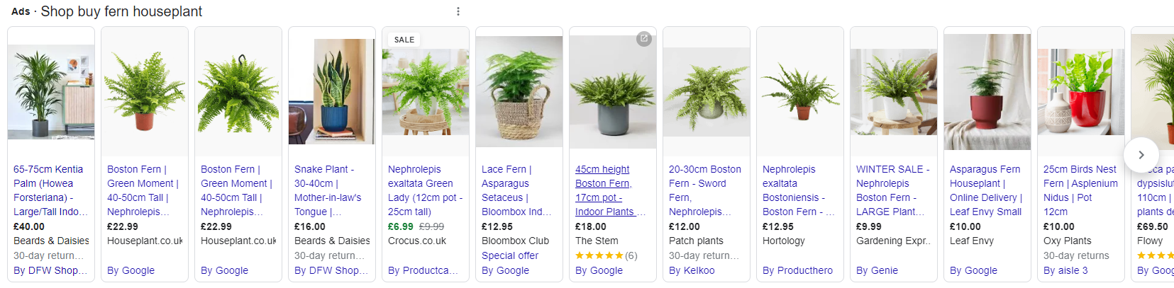 Fern houseplant Shopping Ads